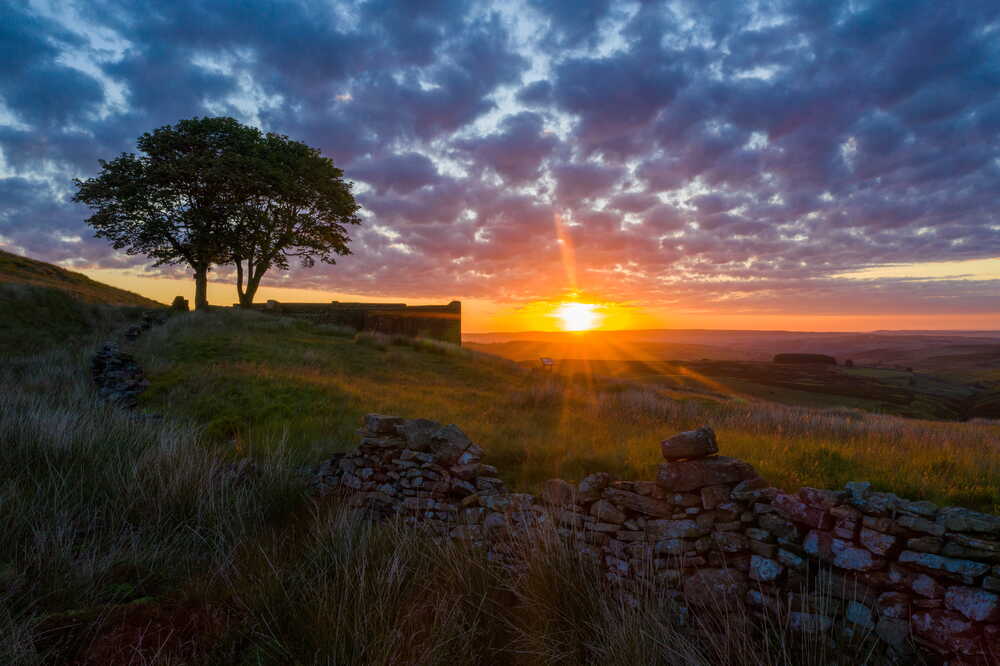 Sunset over the British countryside with a lone tree and dry stone wall — symbolising enduring legacy